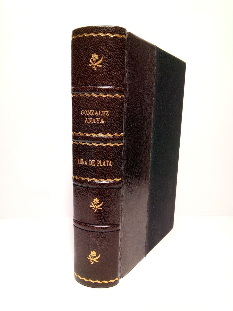 Luna de Plata (Novela-crónica)