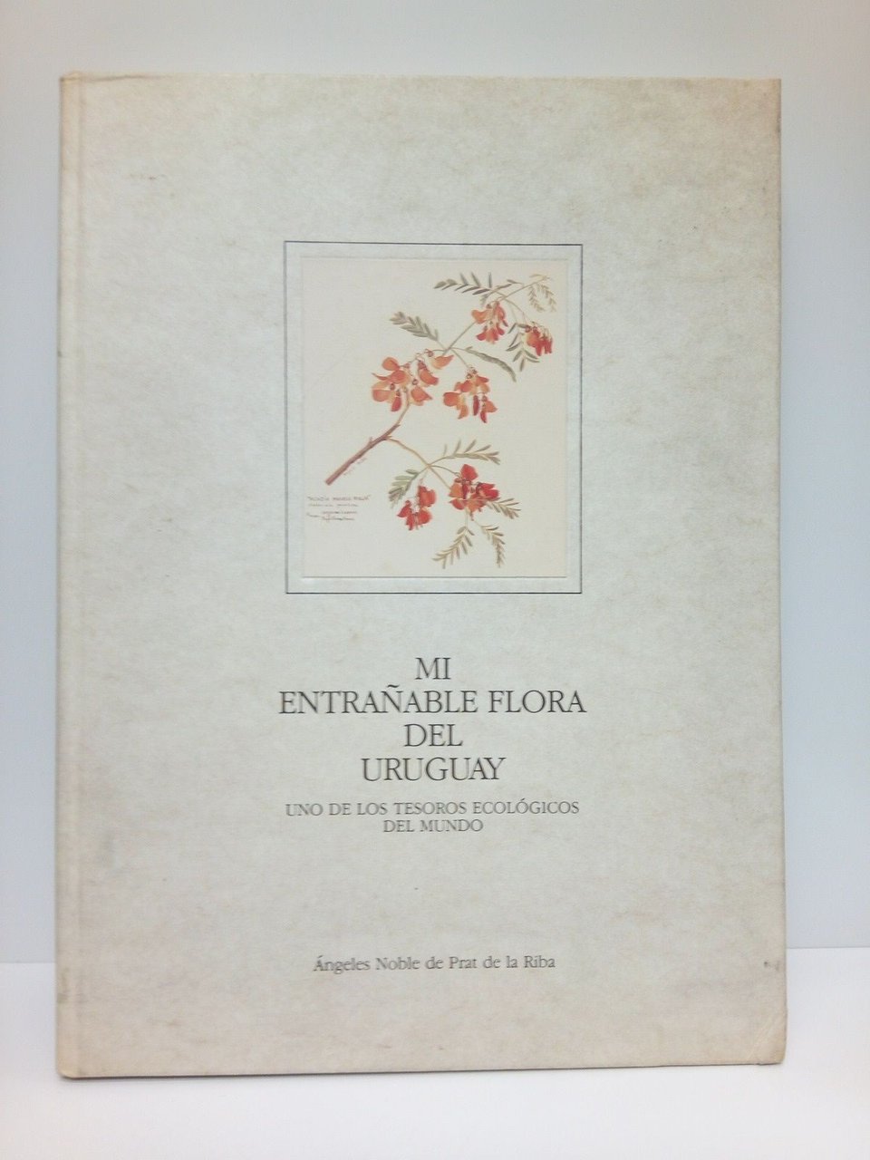 Mi entrañable flora del Uruguay: Uno de los tesoros ecológicos …