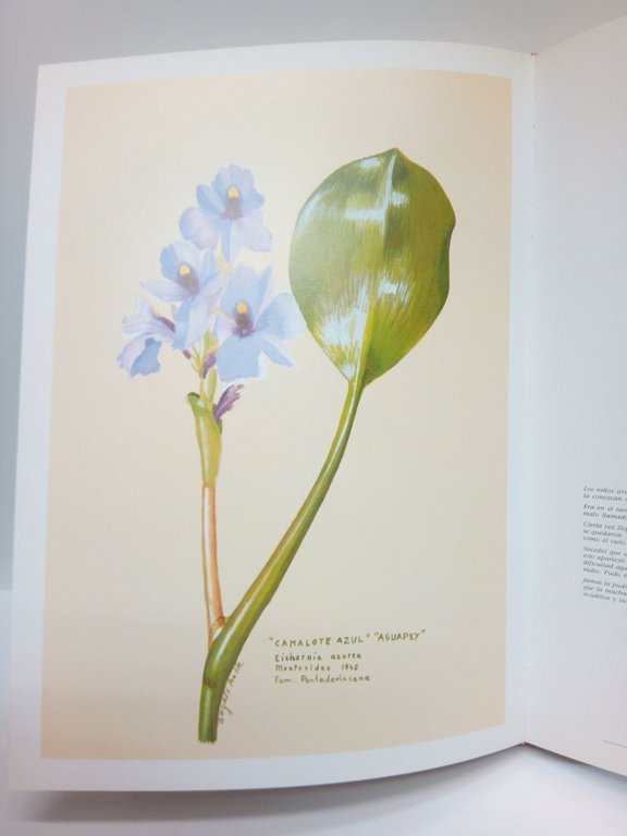 Mi entrañable flora del Uruguay: Uno de los tesoros ecológicos …