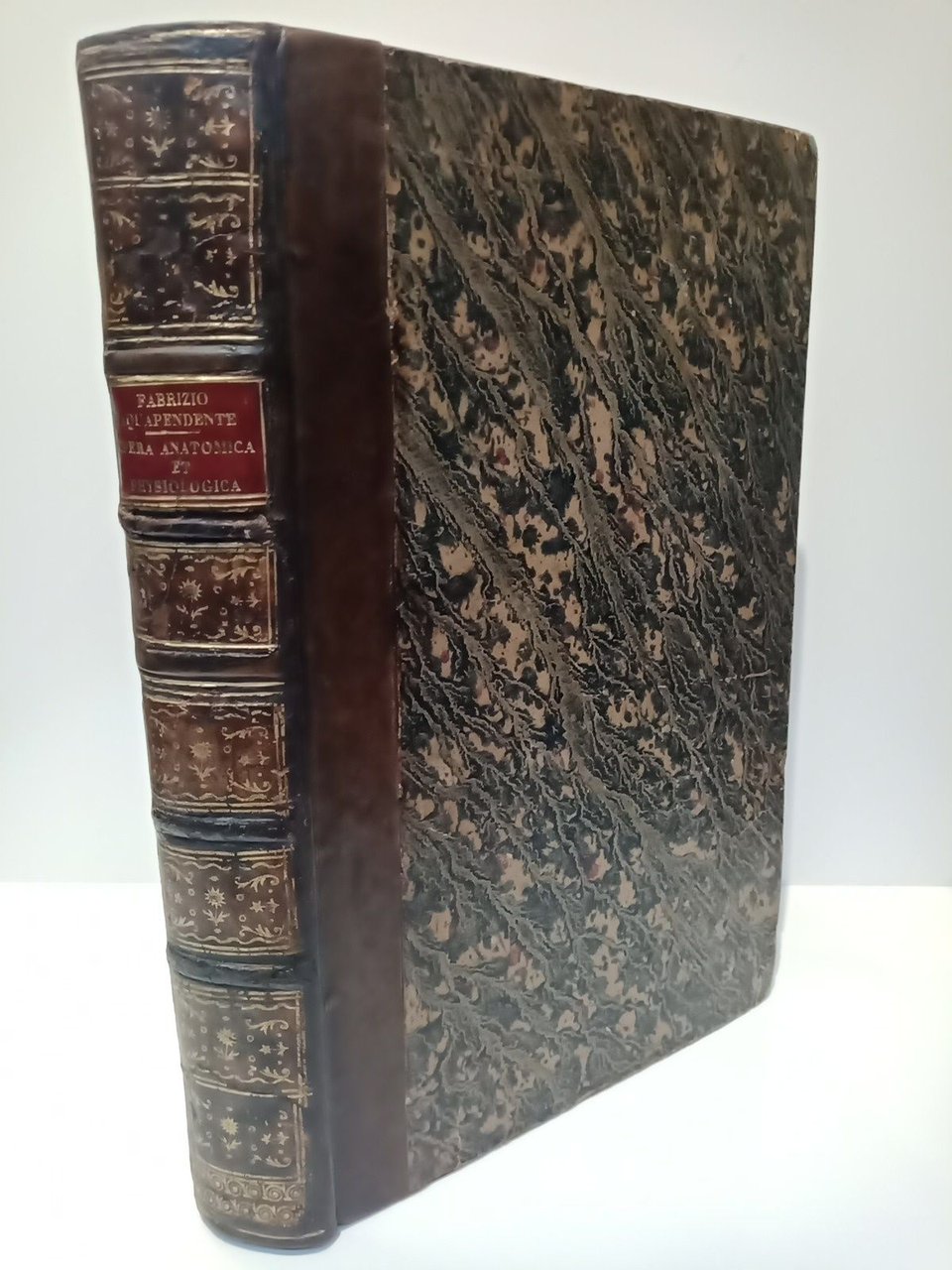 Opera Omnia Anatomica et Physiologica, Hactenus variis locis ac formis …