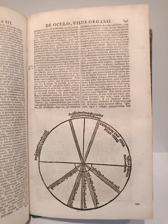 Opera Omnia Anatomica et Physiologica, Hactenus variis locis ac formis …