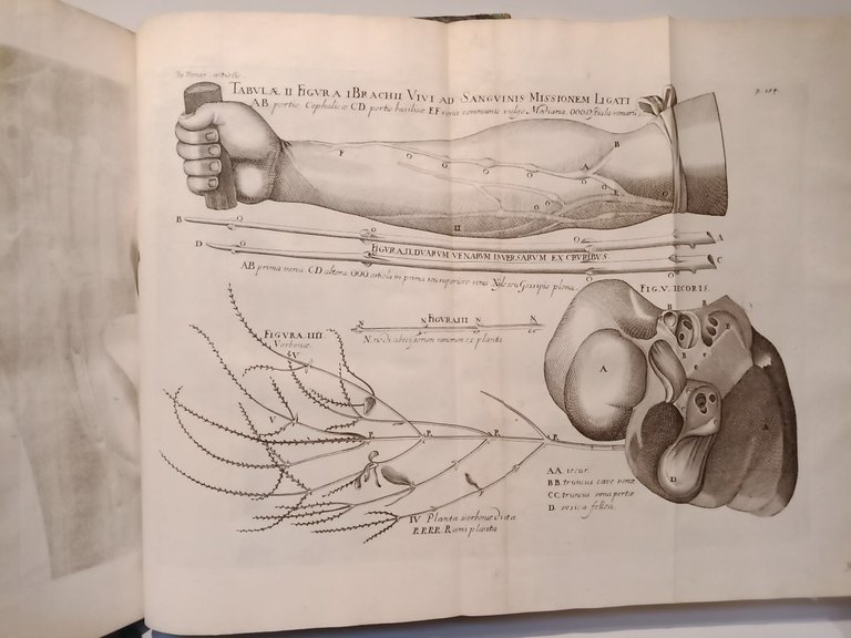 Opera Omnia Anatomica et Physiologica, Hactenus variis locis ac formis …