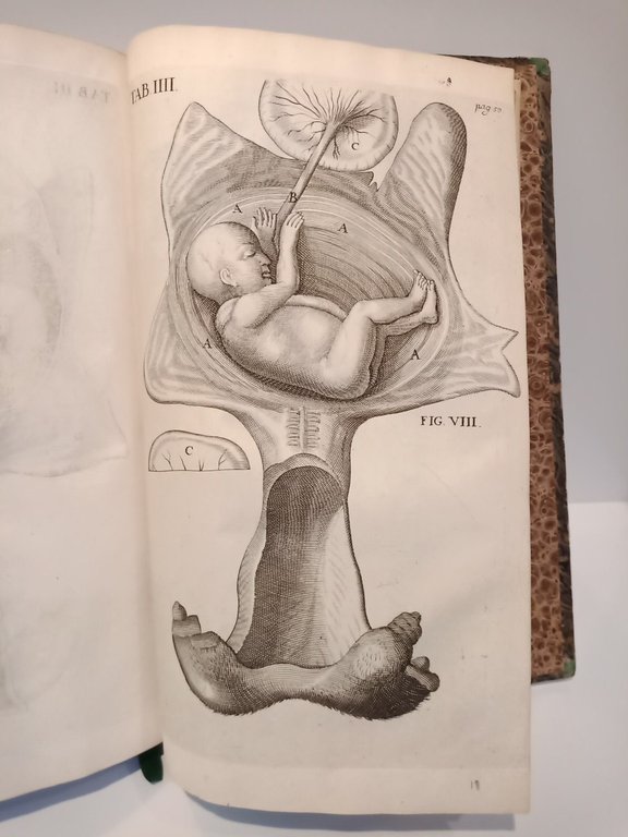 Opera Omnia Anatomica et Physiologica, Hactenus variis locis ac formis …