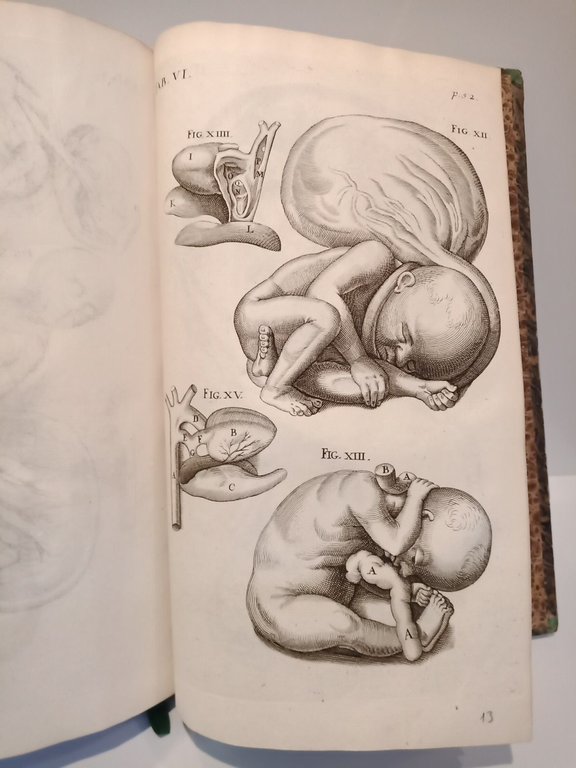 Opera Omnia Anatomica et Physiologica, Hactenus variis locis ac formis …