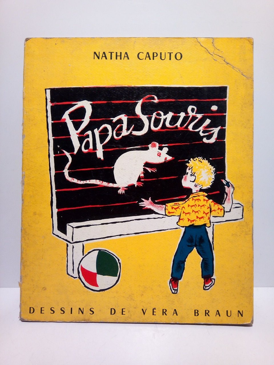 Papa Souris / Observé et illustré par Vera Braun