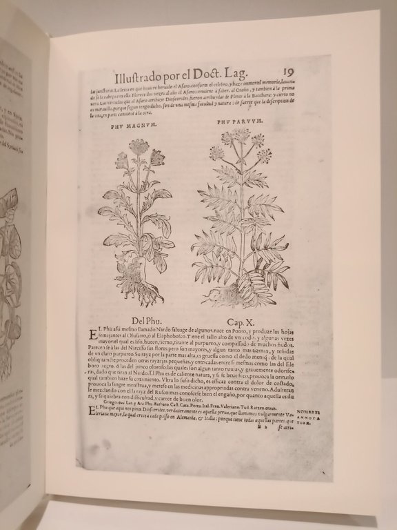 Pedacio Dioscórides Anazarbeo: 1555. (Ahora nuevamente publicado por el Instituto …