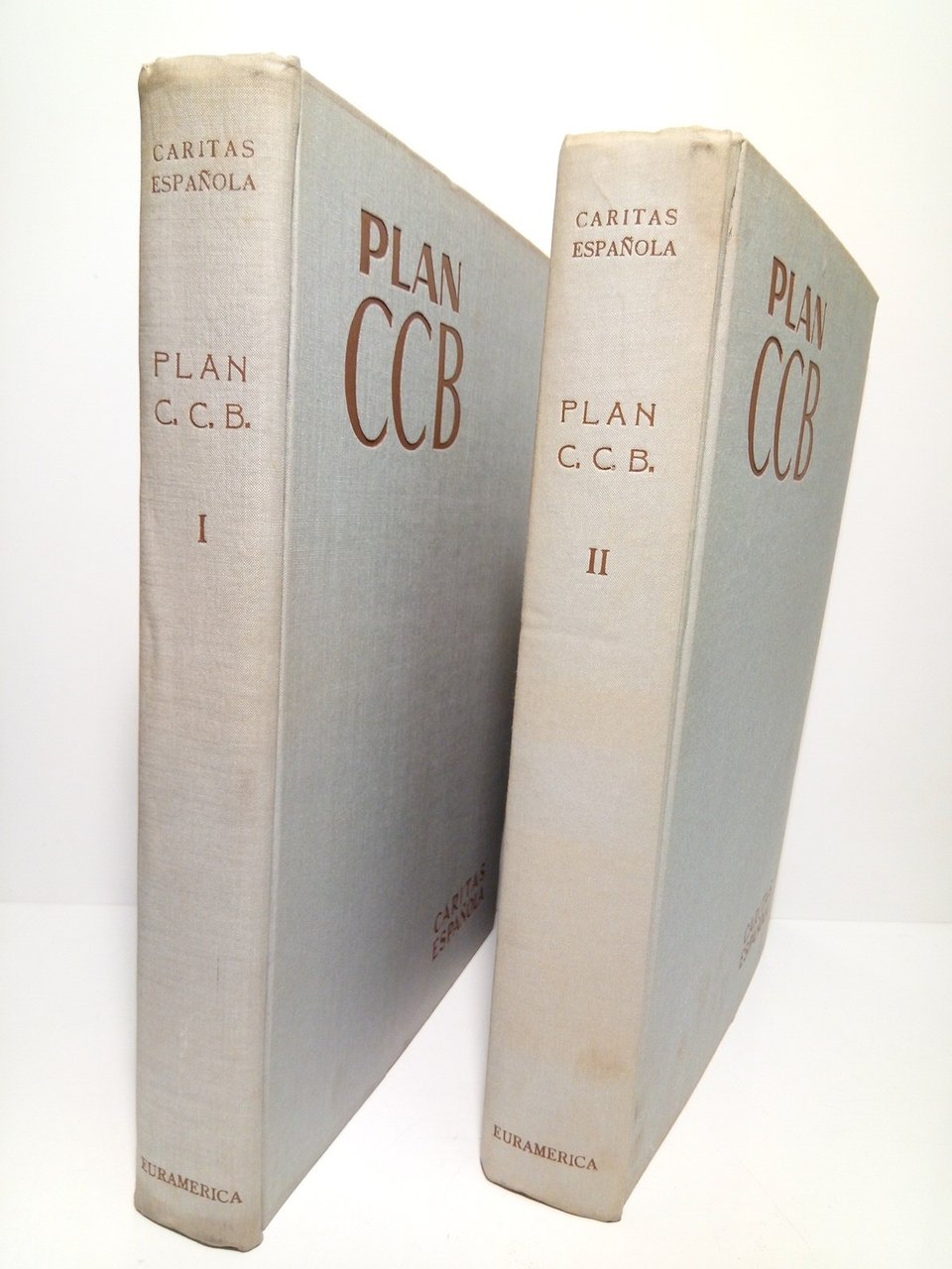 PLAN C. C. B., Plan de Promoción Social, Asistencia Social …