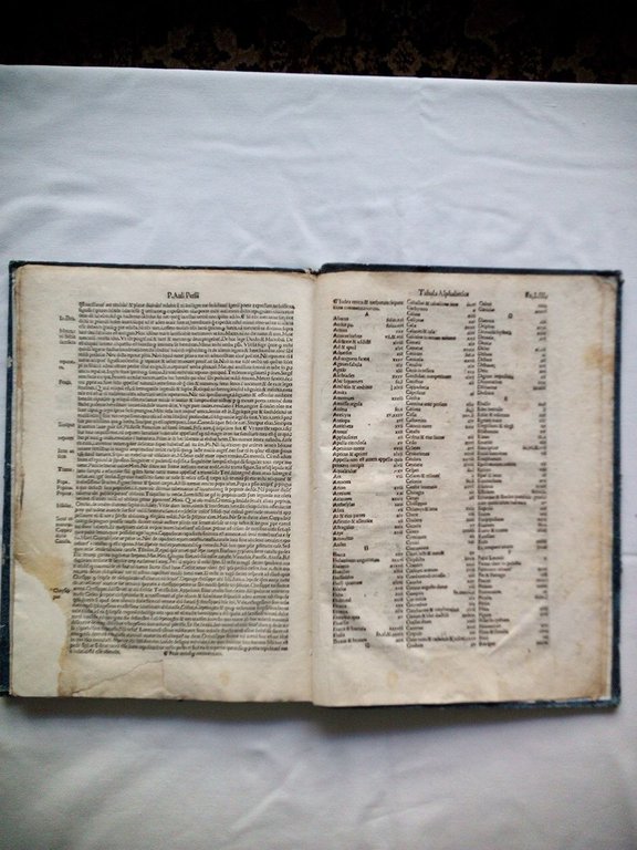 [Portada. Folio I. sig. A i (ambos sin numerar). Comienza … | Immagine Gallery 10