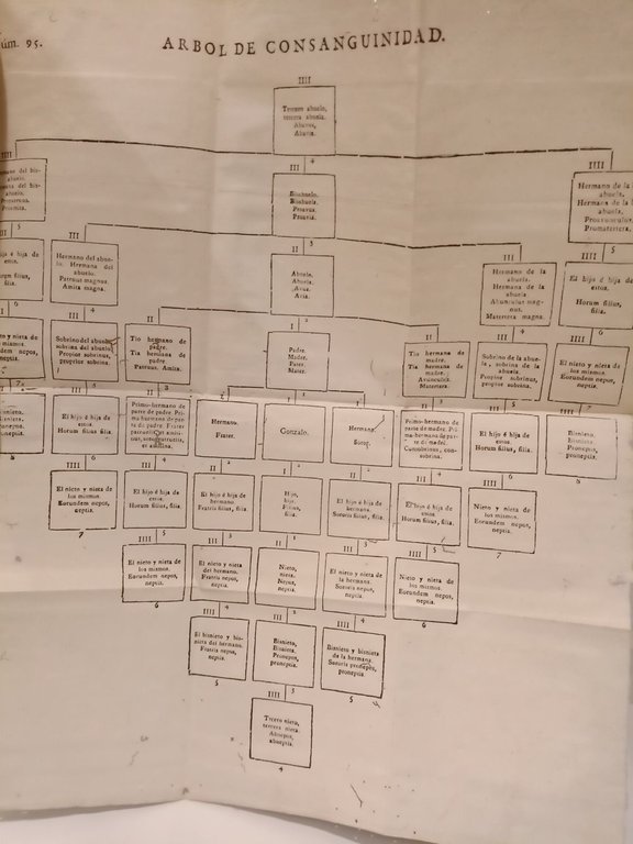 Prontuario de los grados canónicos y civiles de consanguinidad, afinidad, … | Immagine Gallery 4