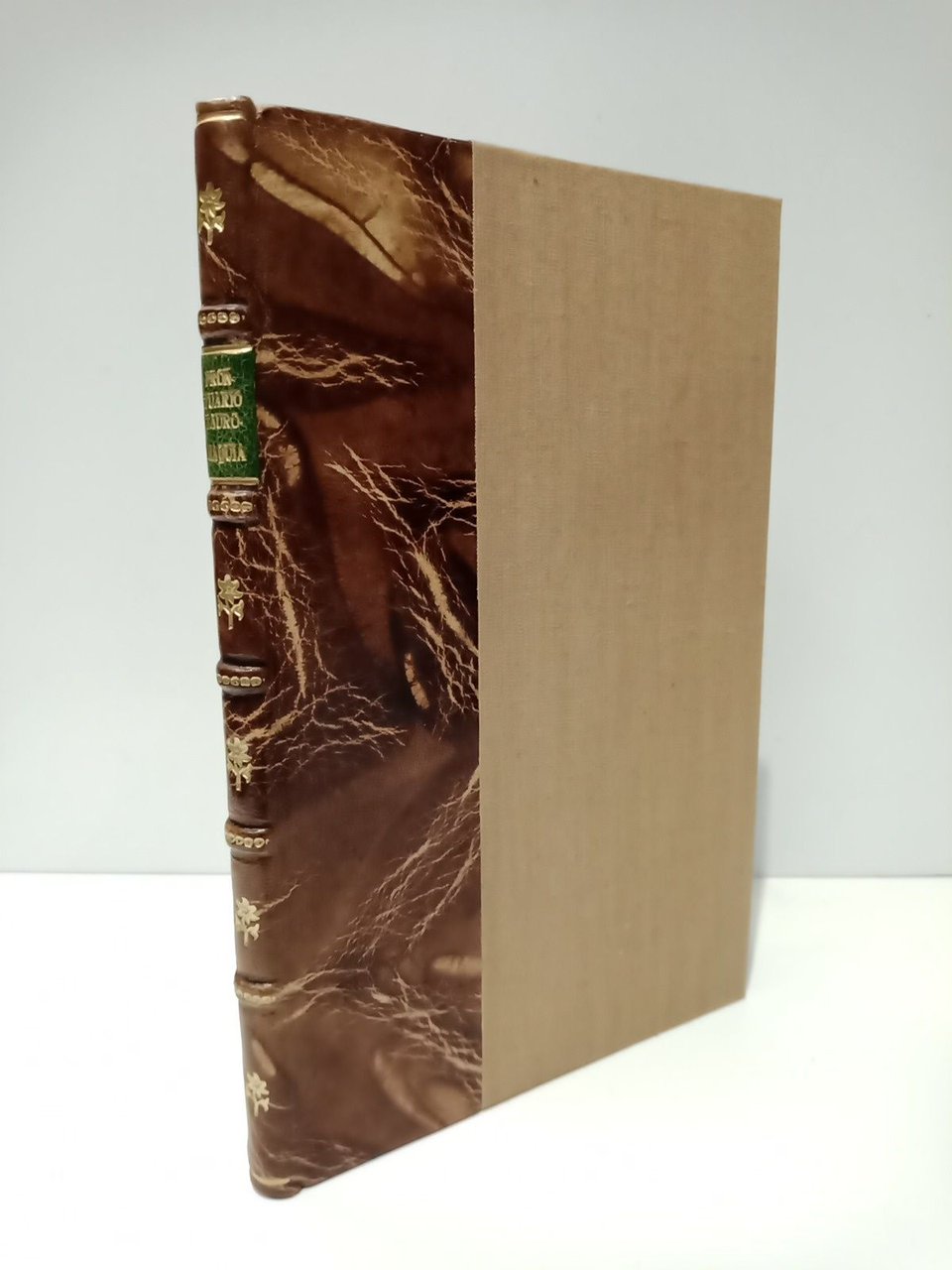 Prontuario de tauromaquia, ó sea el libro de los toros. … | Immagine principale