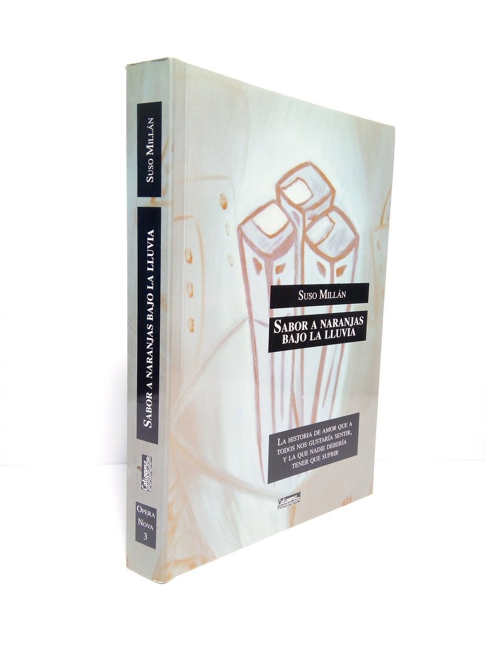 Sabor a naranjas bajo la lluvia [Novela]