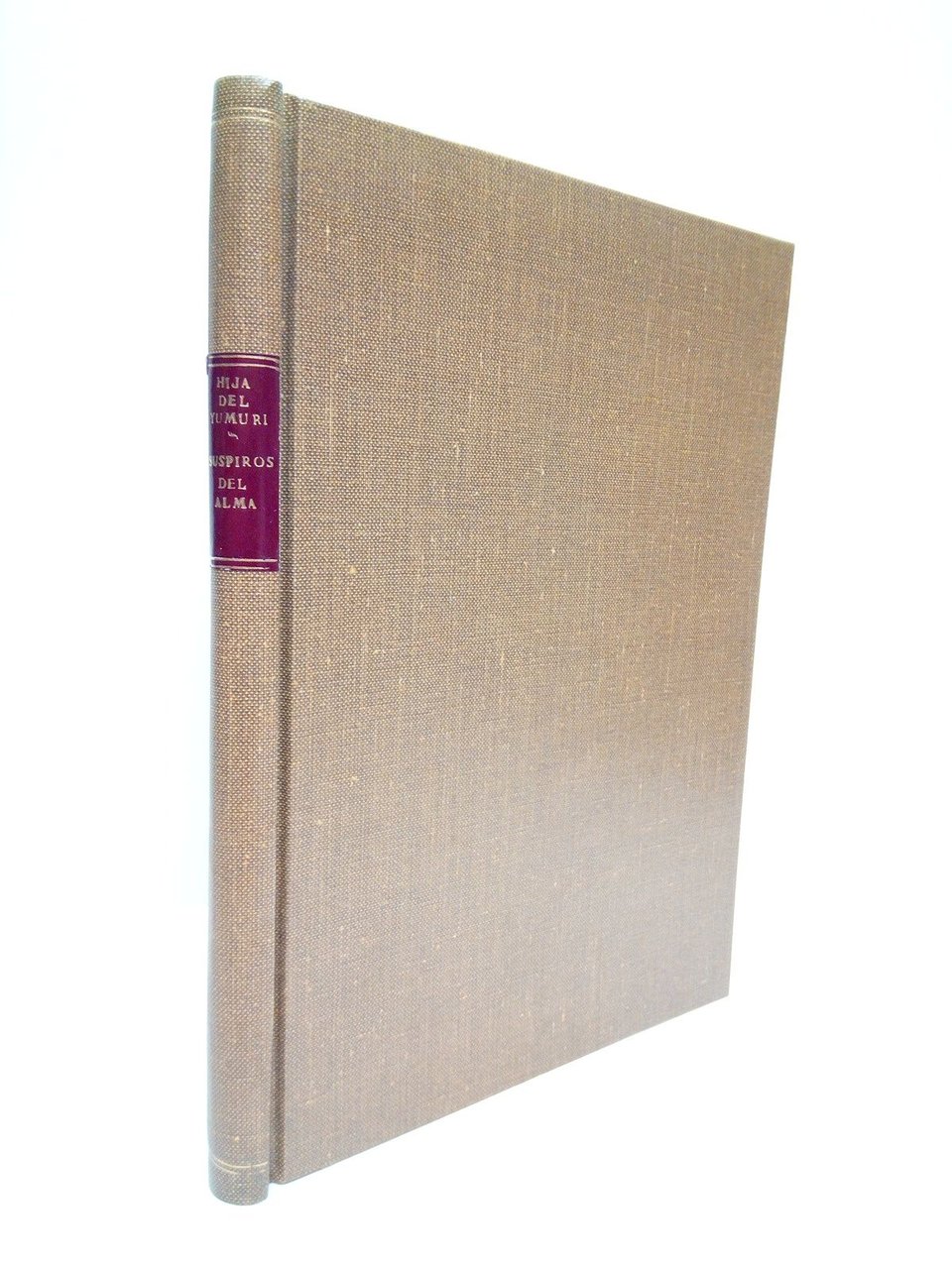 Suspiros del alma [poesías] / [Tras el retrato lleva una … | Immagine principale