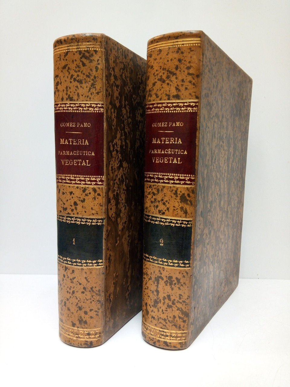 Tratado de materia farmacéutica vegetal. Obra Ilustrada con grabados. [2 … | Immagine principale