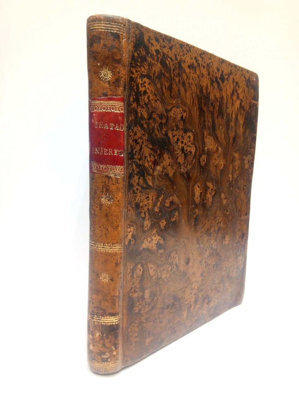 Tratado del injerto, en que se explica todo lo correspondiente … | Immagine principale