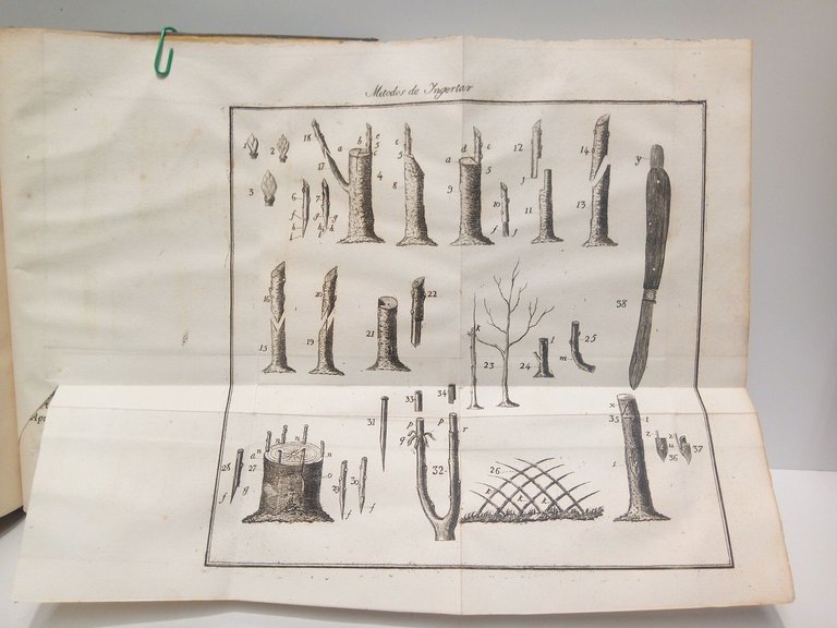 Tratado del injerto, en que se explica todo lo correspondiente … | Immagine Gallery 3