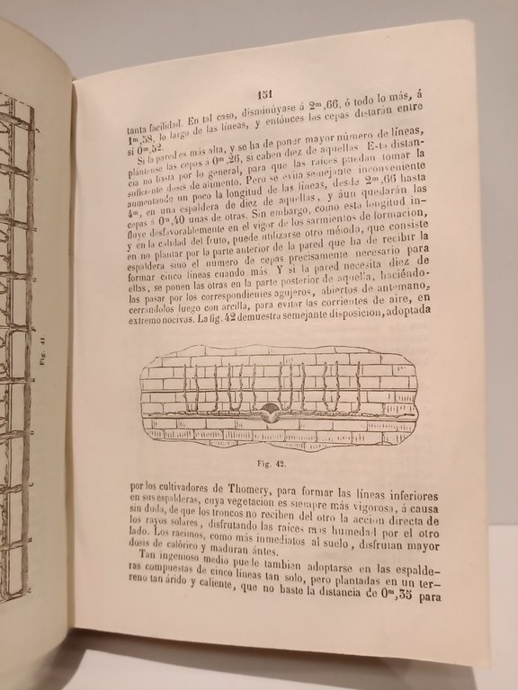 Tratado sobre el cultivo de la vid y ELABORACION DE …