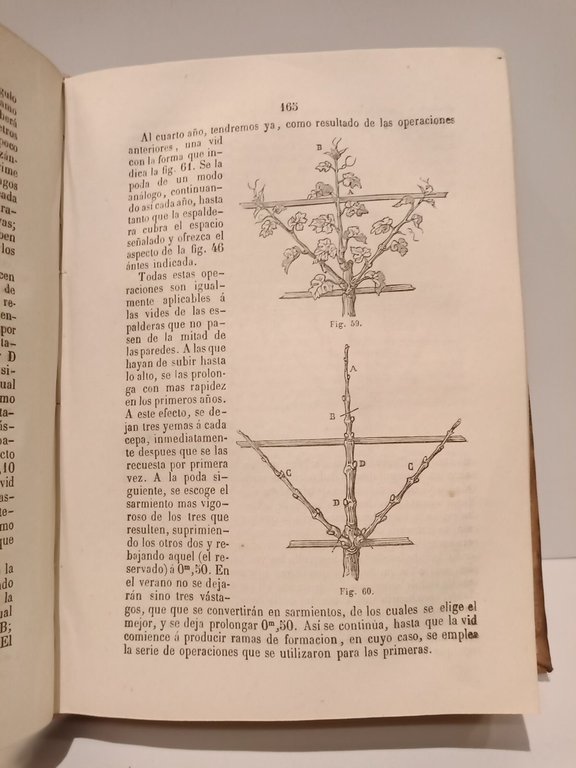 Tratado sobre el cultivo de la vid y ELABORACION DE …