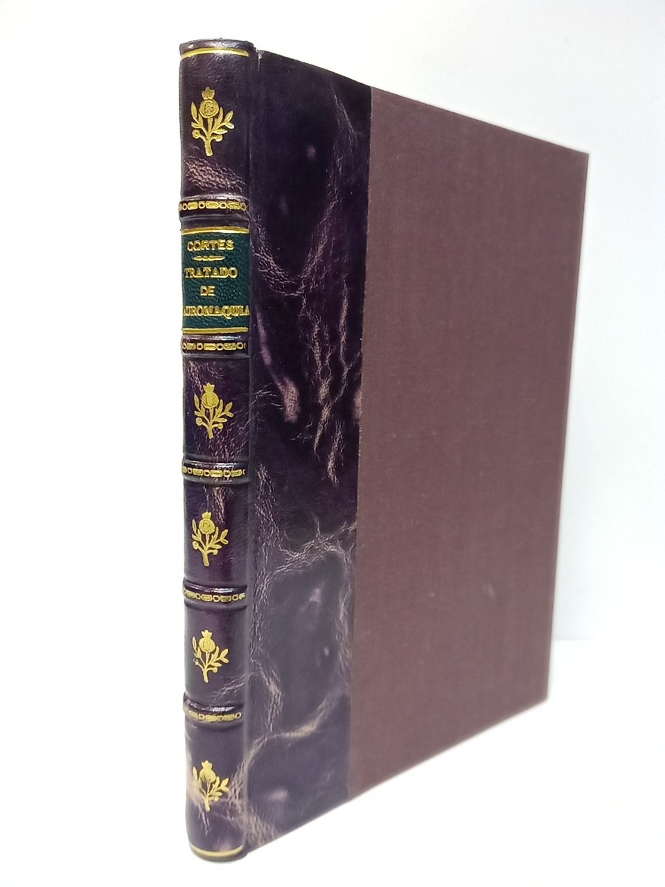 Tratado Teórico-Practico de Tauromaquia. Dedicado a D. Luis Mazzantini y …