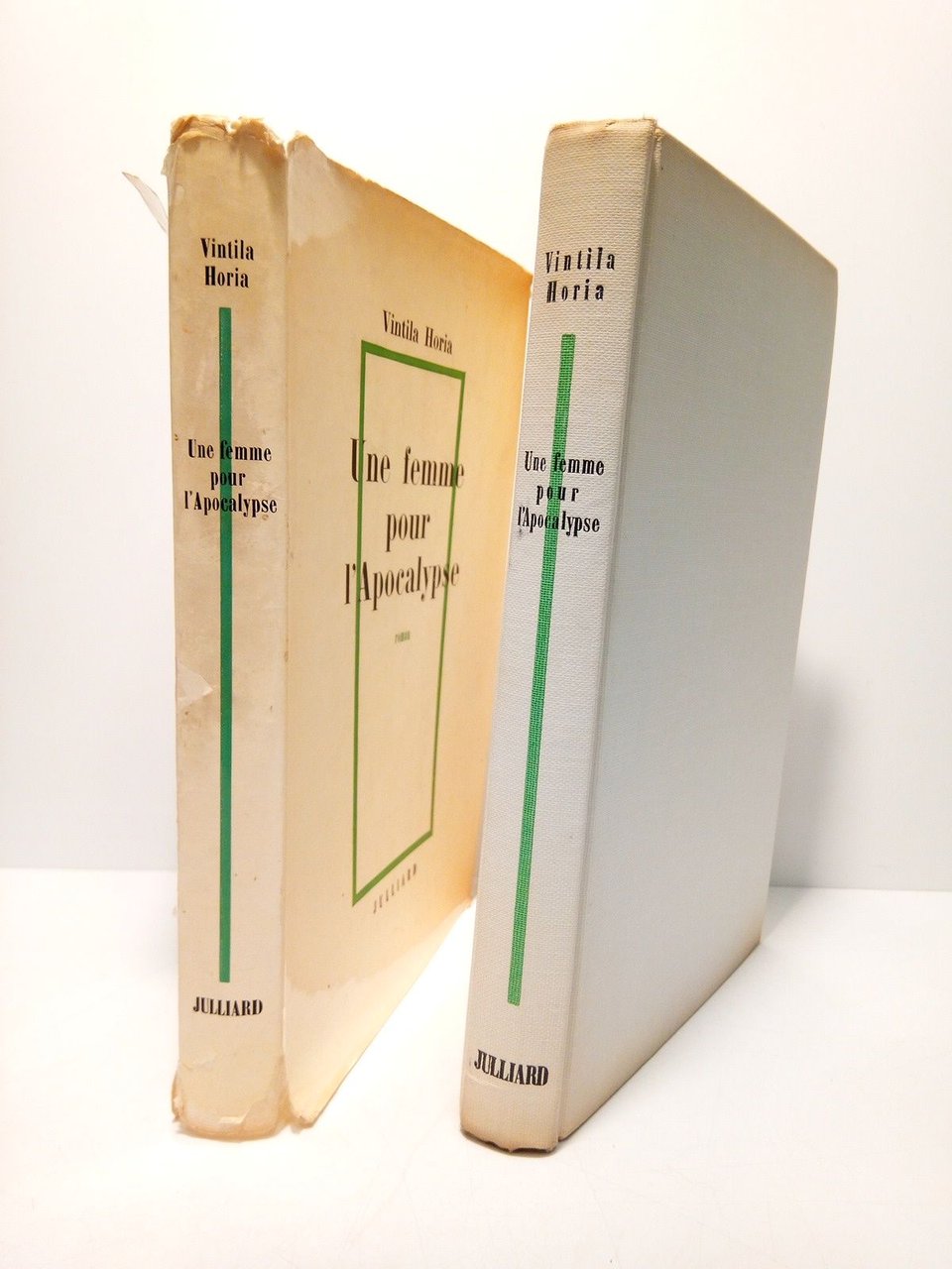 Une femme pour l'apocalypse (Roman)