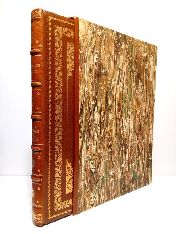 Vida y obras de Goya