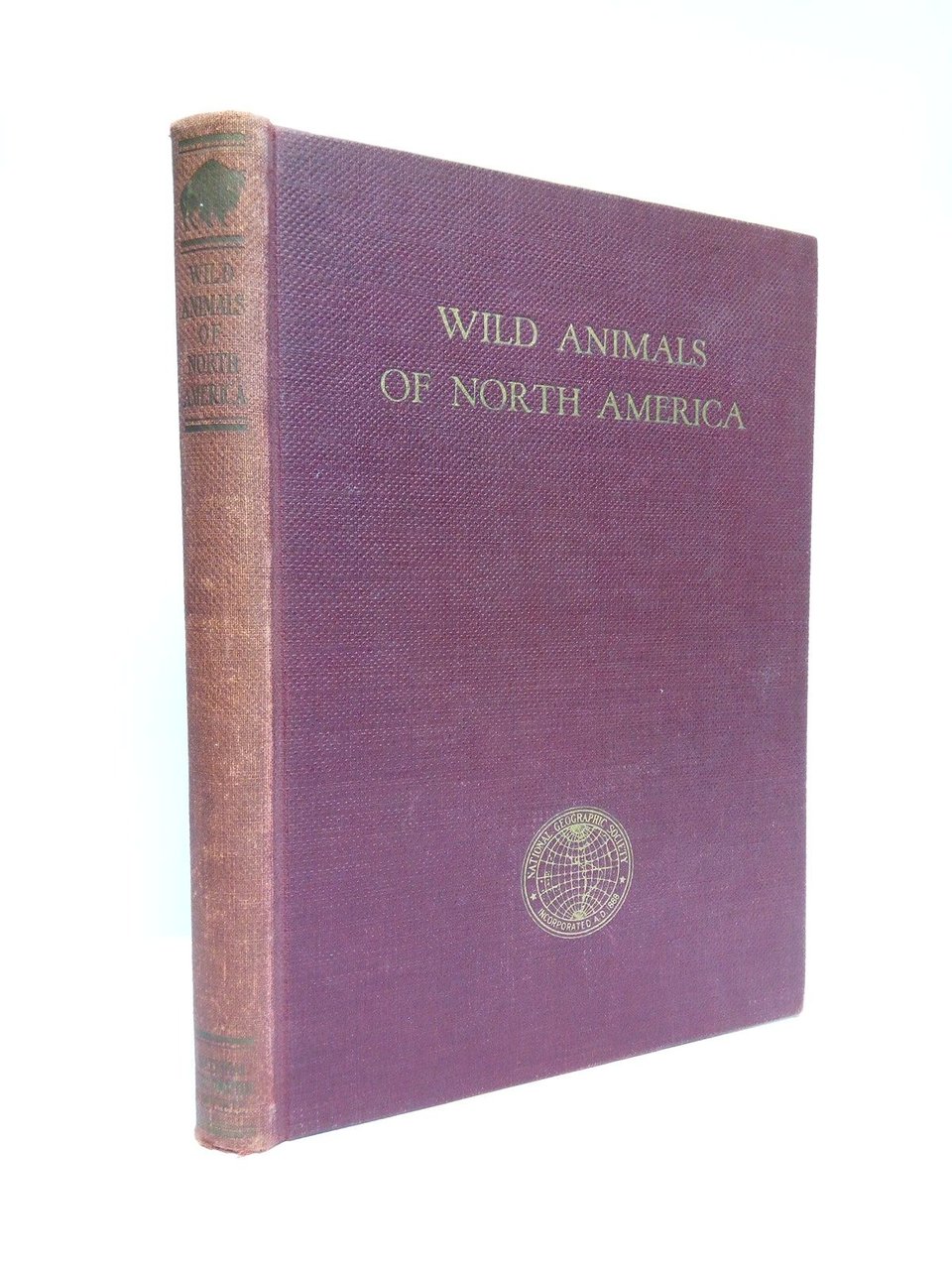 Wild Animals of North America. Intimate Studies of Big and …