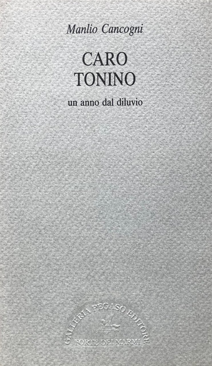 Caro Tonino. Un anno dal diluvio