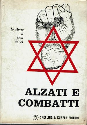 Alzati e combatti - La storia di Emil Brigg