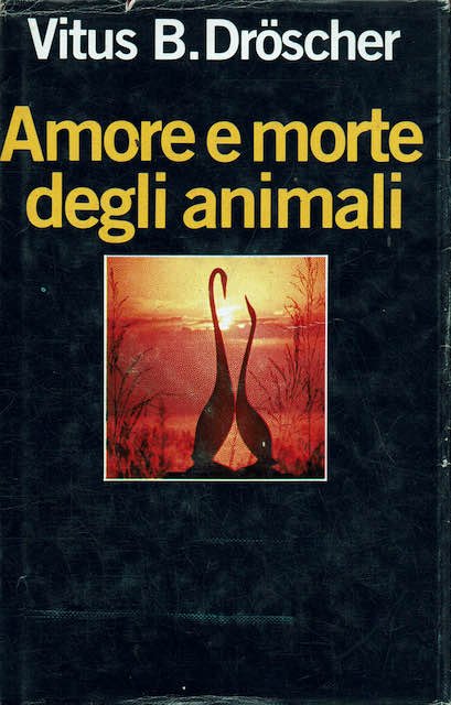 Amore e morte degli animali