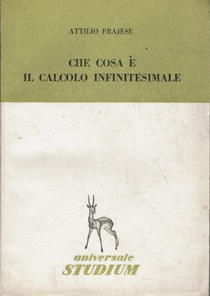 Che cosa è il calcolo infinitesimale