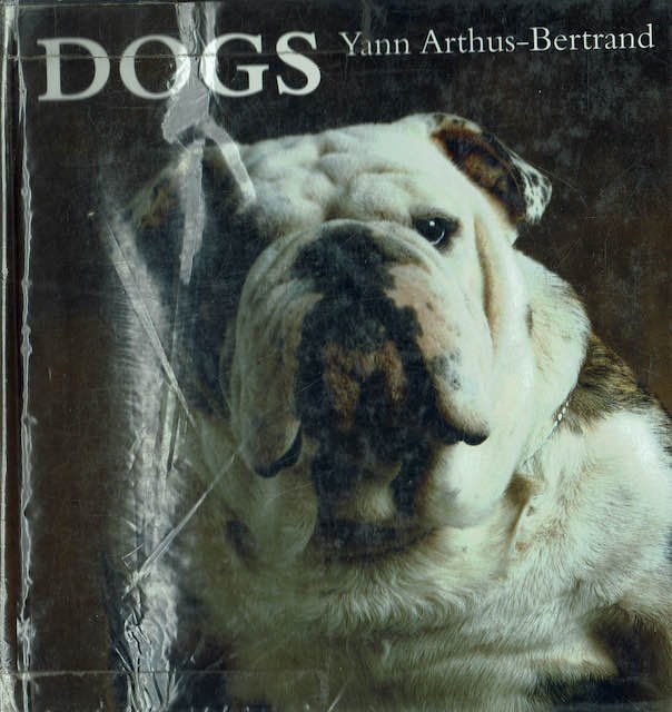 Dogs | Immagine principale