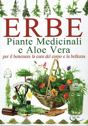 Erbe Piante medicinali e Aloe Vera per il benessere la …