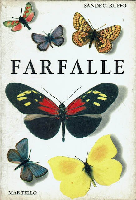 Farfalle