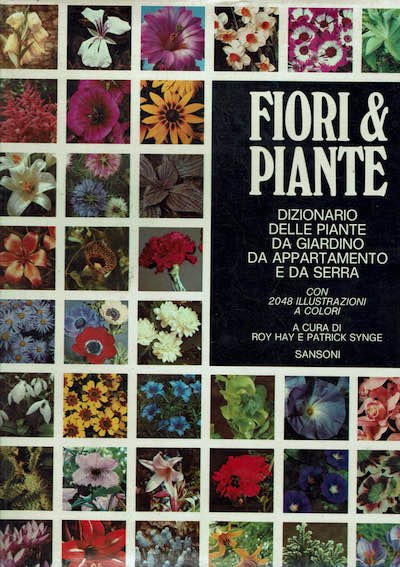 Fiori & piante dizionario delle piante da giardino da appartamento … | Immagine principale