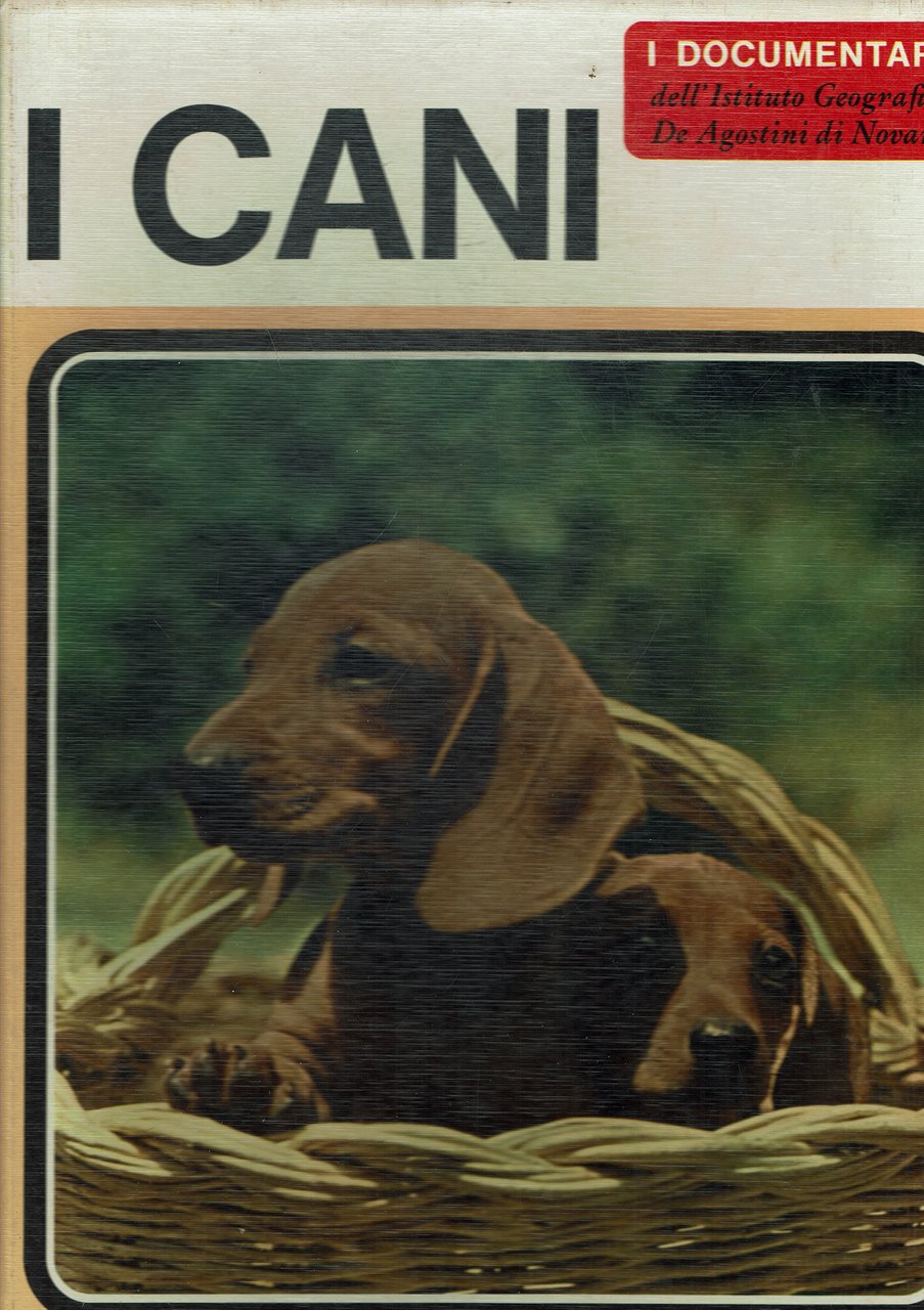 I cani