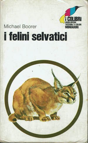 I felini selvatici