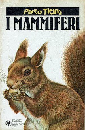 I mammiferi