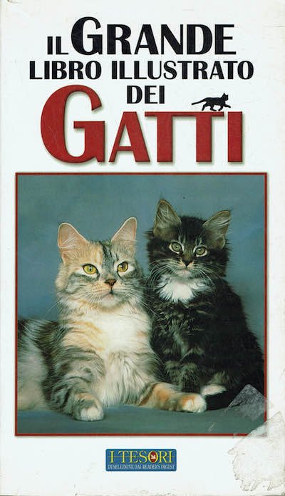 Il grande libro illustrato dei Gatti | Immagine principale
