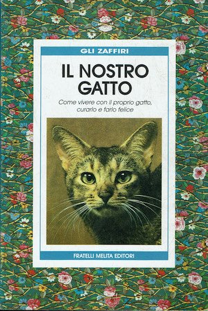 Il nostro gatto