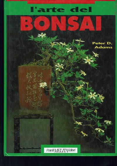 L'arte del bonsai | Immagine principale