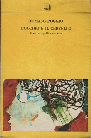 L'occhio e il cervello | Immagine principale