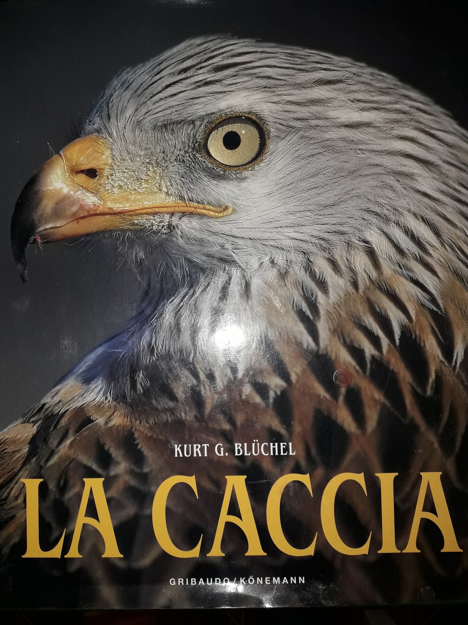 La caccia