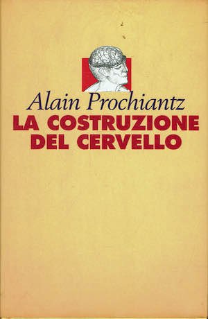 La costruzione del cervello