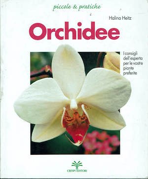 Orchidee | Immagine principale
