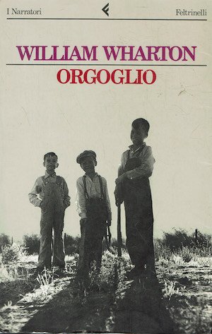 Orgoglio