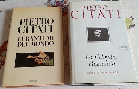 Pietro Citati stock 2 libri : I frantumi del mondo …