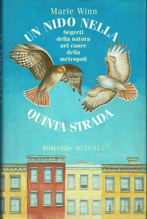 Un nido nella quinta strada | Immagine principale