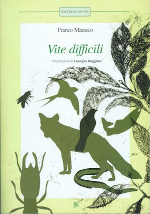 Vite difficili | Immagine principale