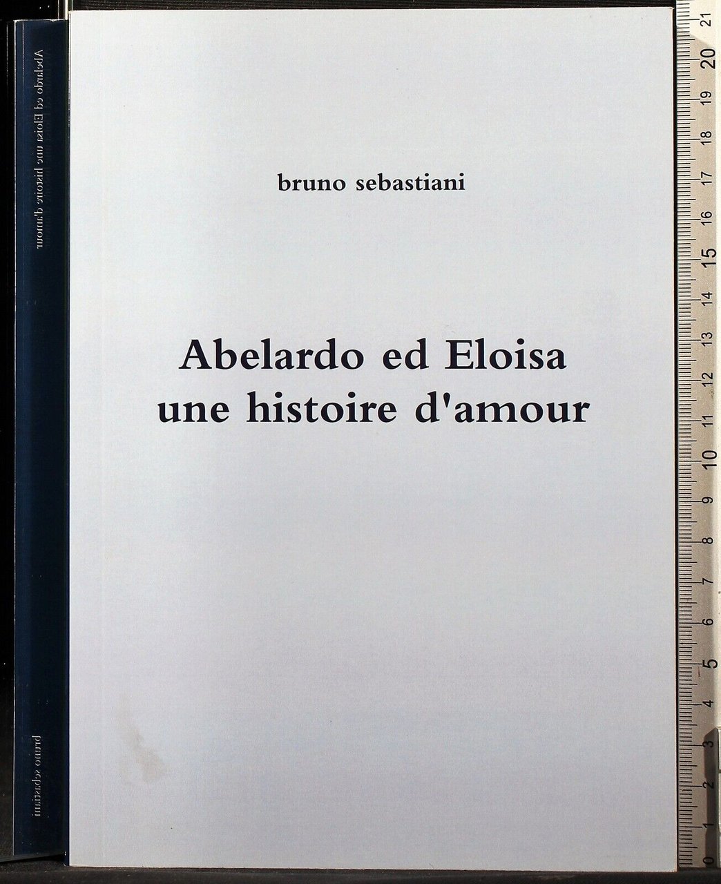 Abelardo ed Eloisa una histoire d'amour | Immagine principale