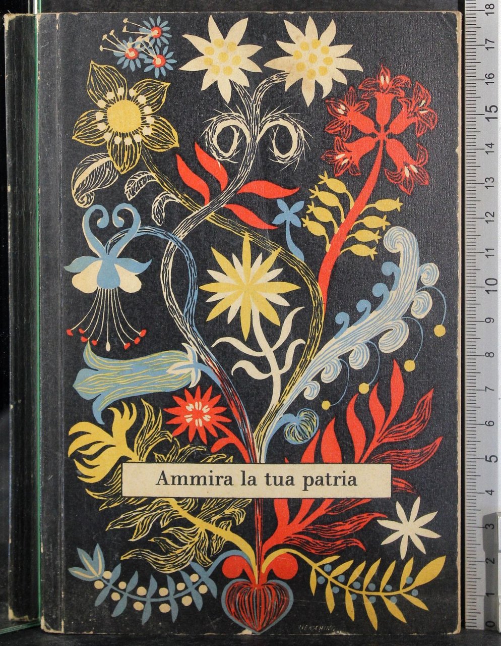 Ammira la tua patria! | Immagine principale