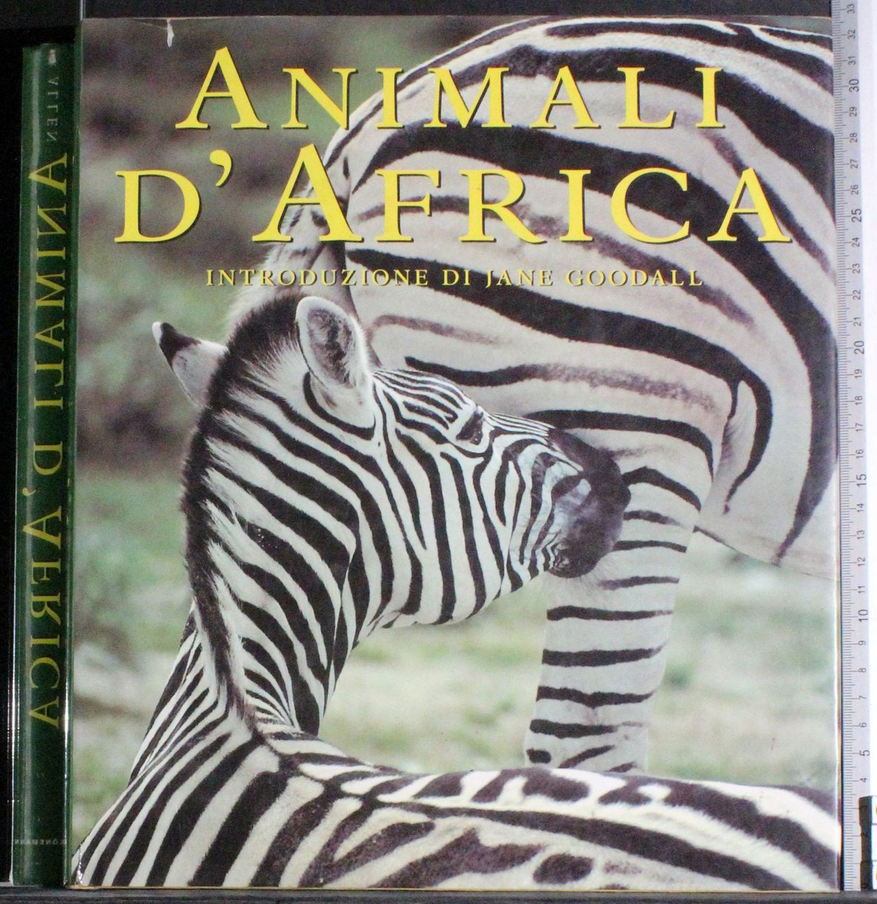 Animali d'America